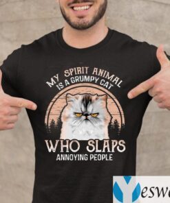My Spirit Animal Is A Grumpy Cat Who Slaps Annoying People T-Shirt