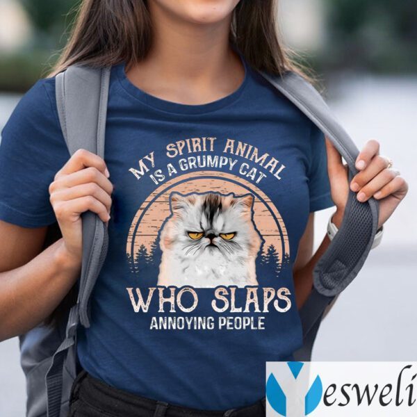 My Spirit Animal Is A Grumpy Cat Who Slaps Annoying People T-Shirts
