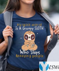 My Spirit Animal Is A Grumpy Sloth Who Slaps Annoying People Shirt