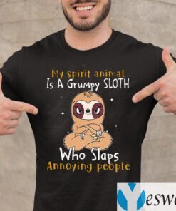 My Spirit Animal Is A Grumpy Sloth Who Slaps Annoying People Shirts