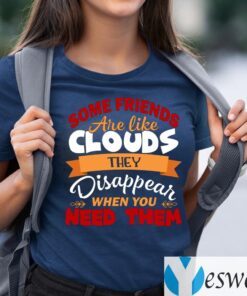 Some Friends Are Like Clouds They Disappear when You Need Them Friend TeeShirt