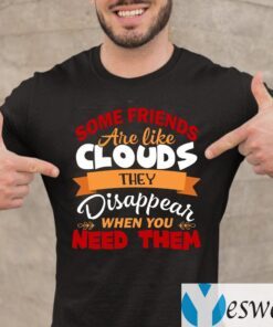 Some Friends Are Like Clouds They Disappear when You Need Them Friend TeeShirts