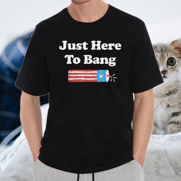 Fourth of July 4th of July I'm Just Here To Bang T-Shirt