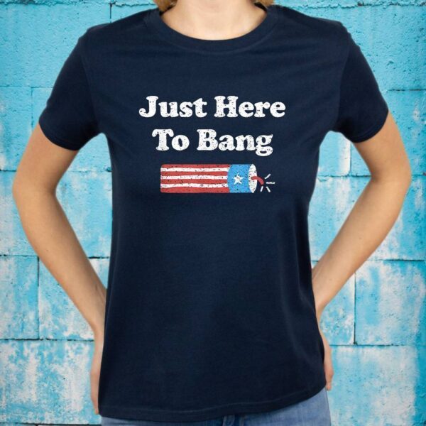 Fourth of July 4th of July I'm Just Here To Bang T-Shirts