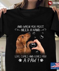 Dachshund And When You Most Need A Hand Life Comes And Gives You A Paw For Dog Lover
