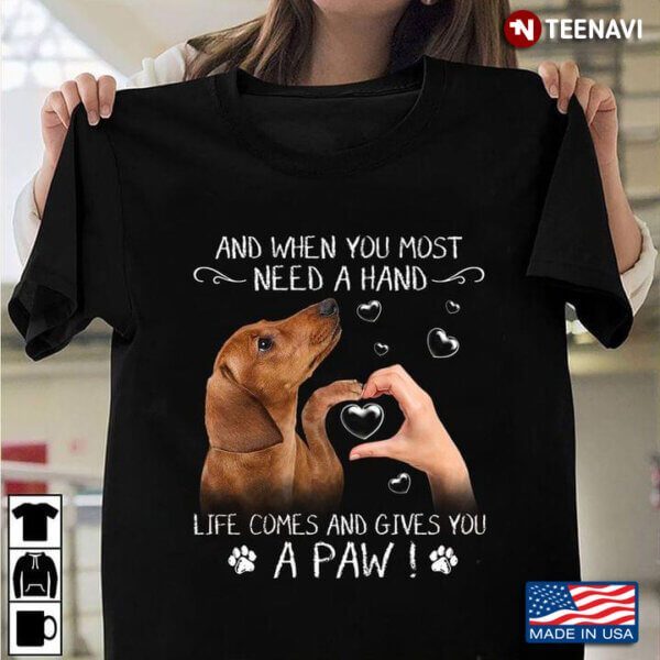 Dachshund And When You Most Need A Hand Life Comes And Gives You A Paw For Dog Lover