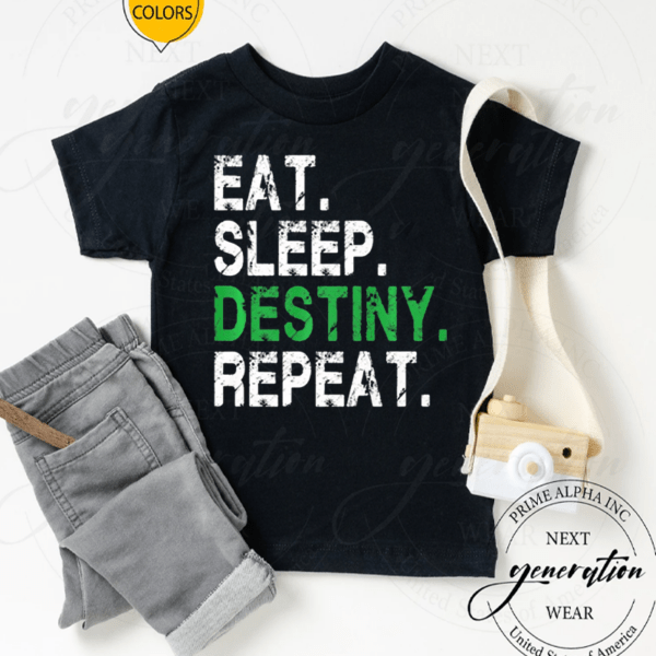 Eat Sleep Destiny Repeat Short Shirts