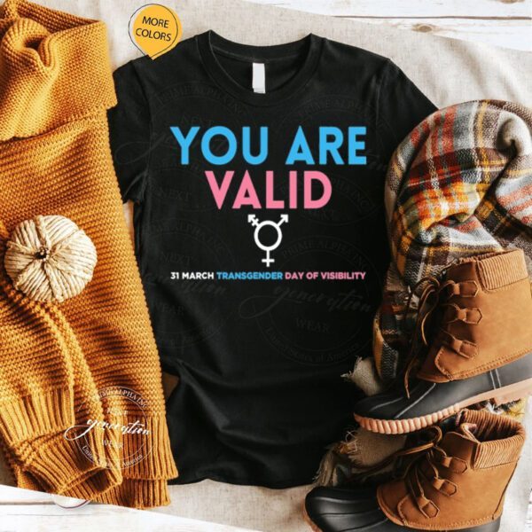 You Are Valid Transgender Day Of Visibility Trans Ally TShirt