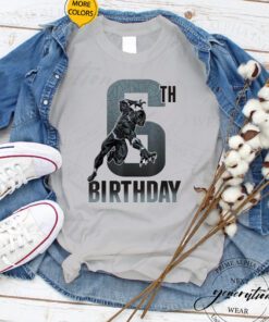 Black Panther Birthday - Action Pose 6th Birthday TShirt