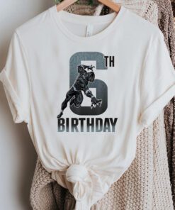 Black Panther Birthday - Action Pose 6th Birthday TShirts