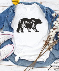 Dad And Me T-Shirt Papa Bear Baby Bear Father’s Day Tee Shirt