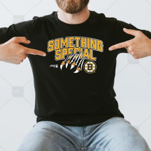 Boston Bruins 2023 Stanley Cup Playoffs Something Special T Shirts