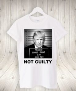 Donald Trump Fake Mug Shot Shirt