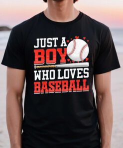american sport just a boy who loves baseball T-shirt