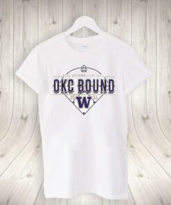 Washington Huskies 2023 Women’s Softball College World Series T-Shirt