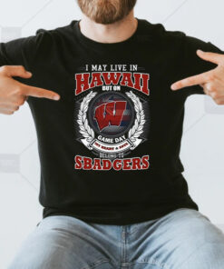 I May Live In Hawaii But On Game Day My Heart & Soul Belongs To Wisconsin Badgers Unisex T Shirts