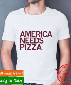 america needs pizza shirt 8337