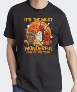 Witch bear it’s the most wonderful time of the year halloween 2023 t shirt