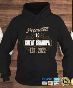 Hoodie Promoted to Great Grandpa 2022 Funny Pregnancy Announcement TShirt