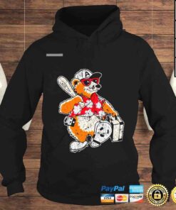 Hoodie The Asheville Tourists Ted E Tourist Vintage shirt