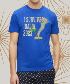I Survived Hurricane Idalia 2023 Art Design t-Shirt