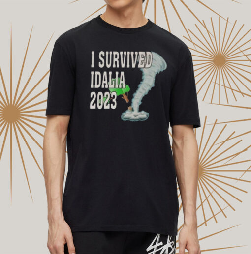 I Survived Hurricane Idalia 2023 Art Design t-Shirts