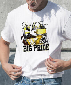 Small town go team big pride eagles Football sublimation tshirt
