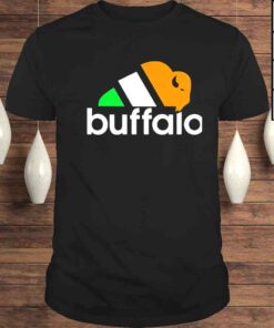 buffalo Irish the city with three seasons shirt