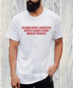 So Hard Being A Beautiful Perfect Always Right Angelic Princess T-Shirt