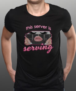 Snazzyseagull This Server Is Serving T-Shirtt