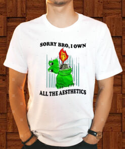 Sorry Bro I Own All The Aesthetics Shirt