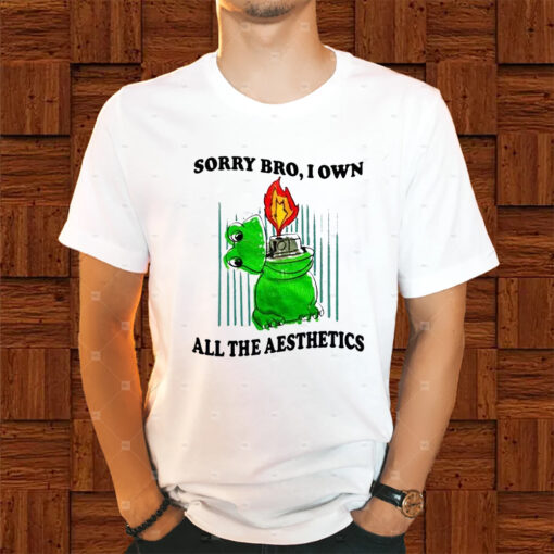 Sorry Bro I Own All The Aesthetics Shirt