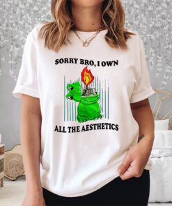 Sorry Bro I Own All The Aesthetics Shirts