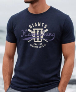 Unisex Teambrown Harrisburg Giants Team Dark Grey Heather Shirts