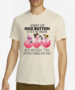 Flamingo Sorry My Nice Button Is Out Of Order But My Bite Me Button Works Just Fine Classic T-Shirt2