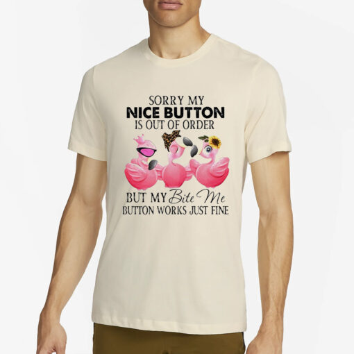 Flamingo Sorry My Nice Button Is Out Of Order But My Bite Me Button Works Just Fine Classic T-Shirt2