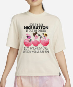 Flamingo Sorry My Nice Button Is Out Of Order But My Bite Me Button Works Just Fine Classic T-Shirt4