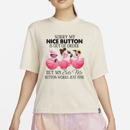 Flamingo Sorry My Nice Button Is Out Of Order But My Bite Me Button Works Just Fine Classic T-Shirt4