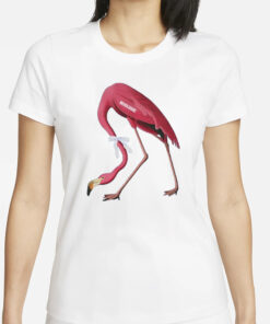 Flamingo Team Mixoloshe T-Shirt