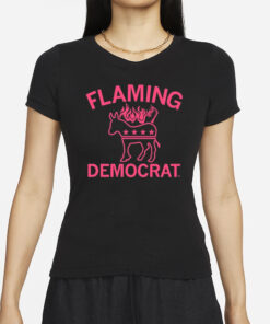 Raygunsite Flaming Democrat T-Shirts