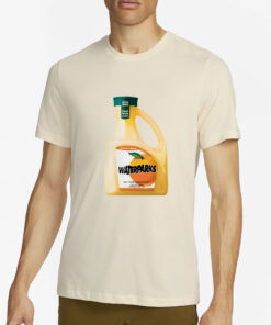 Waterparks Orange Juice T-Shirt2