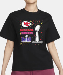 49ers Super Bowl Champions LVIII Las Vegas 2024 T-Shirt3