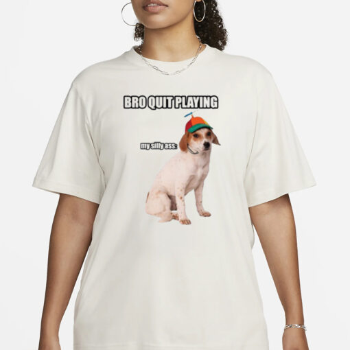 Bro Quit Playing My Silly Ass Cringey T-Shirt1