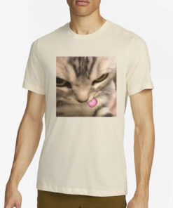 Silly Kitten T-Shirt4