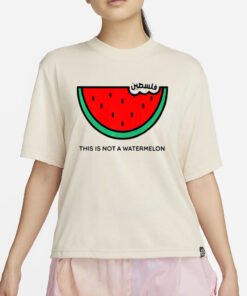 This Is Not A Watermelon T-Shirt2