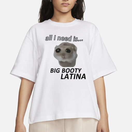 All I Need Is Big Booty Latina T-Shirts