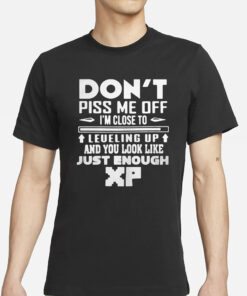 Don’t Piss Me Off I’m Close To Leveling Up And You Look Like Just Enough XP T-Shirt