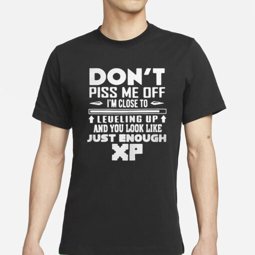 Don’t Piss Me Off I’m Close To Leveling Up And You Look Like Just Enough XP T-Shirt