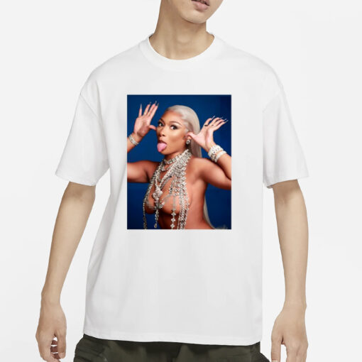 Megantheestallion Store Hiss Tina Snow T-Shirt