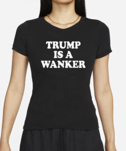 Galwaygirl2505 Trump Is A Wanker Hooded T-Shirt